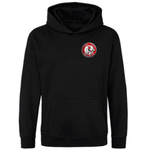 Hoodie Heavy Basic Kids