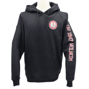 Hoodie Heavy Basic Hometown
