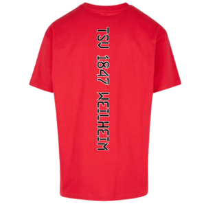 Heavy Oversize Tee Hometown